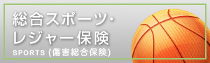 総合スポーツ・レジャー保険