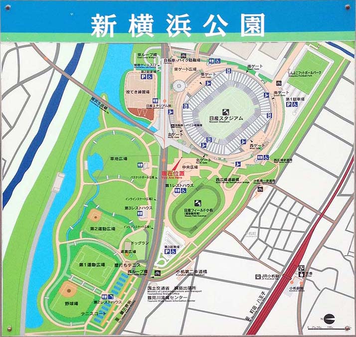 日産スタジアムすぐ側 新横浜公園 ランニングコース ランニングコース紹介 スポーツワン